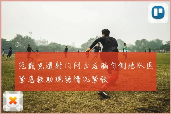 范戴克遭射门闷击后脑勺倒地队医紧急救助现场情况紧张